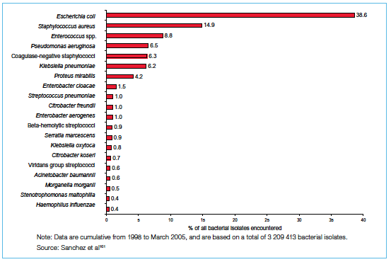 screen shot 2013-07-22 at 11.40.55 am.png