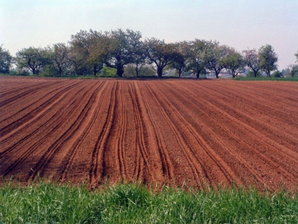 temiz-toprak.jpg