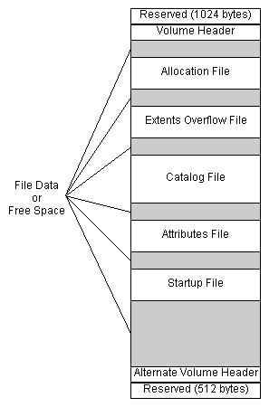 organization of an hfs plus volume