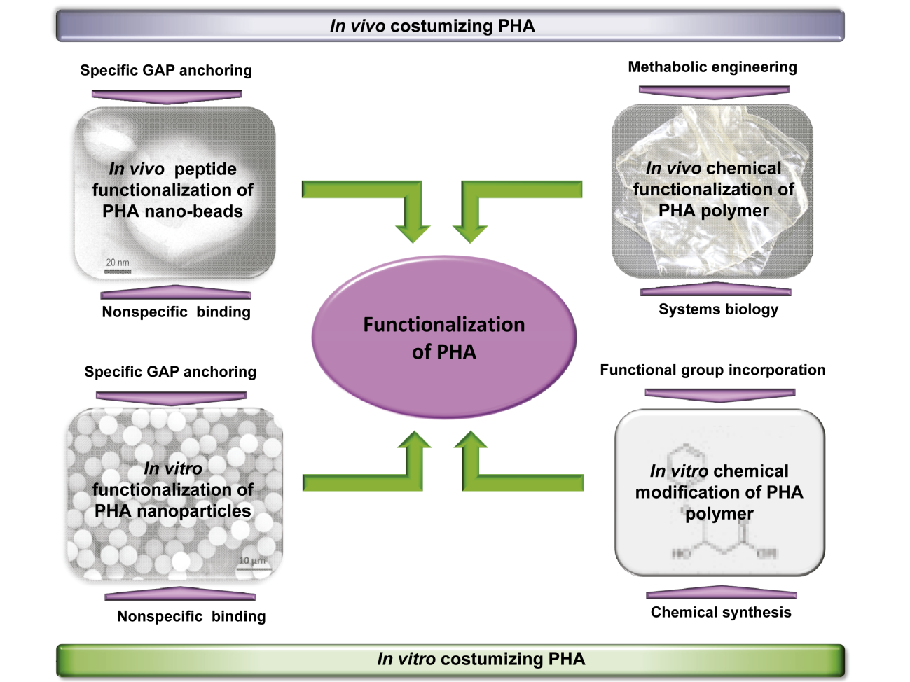 figure 2.bmp