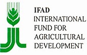 ifad logo