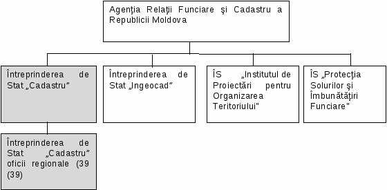 18 grupo