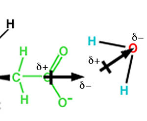 http://www.chemistry.wustl.edu/%7eedudev/labtutorials/ferritin/images/polarity.jpg