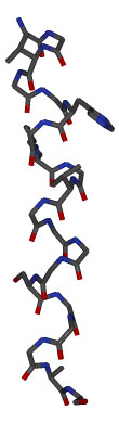 http://www.chemistry.wustl.edu/%7eedudev/labtutorials/ferritin/images/alphahelix_stick.jpg