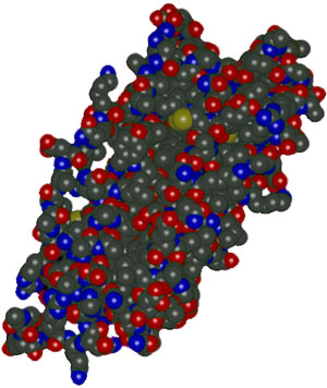 http://www.chemistry.wustl.edu/%7eedudev/labtutorials/ferritin/images/peptide_cpk.jpg