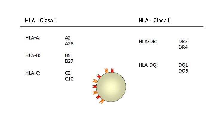 http://www.synevo.ro/wp-content/uploads/2009/08/fig-2.jpg