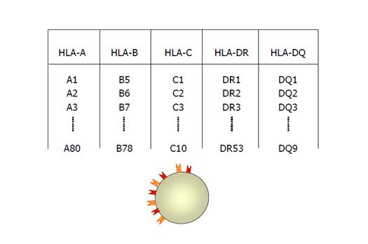 http://www.synevo.ro/wp-content/uploads/2009/08/fig-4.jpg