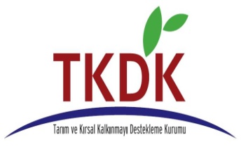 tkdk logo