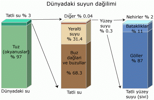 dünyadaki suyun dağılımı