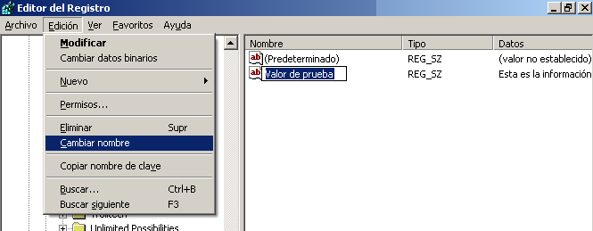 modificar el nombre de un valor