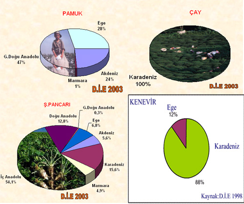 http://www.cografyatutkudur.com/tarim/sanayi.jpg