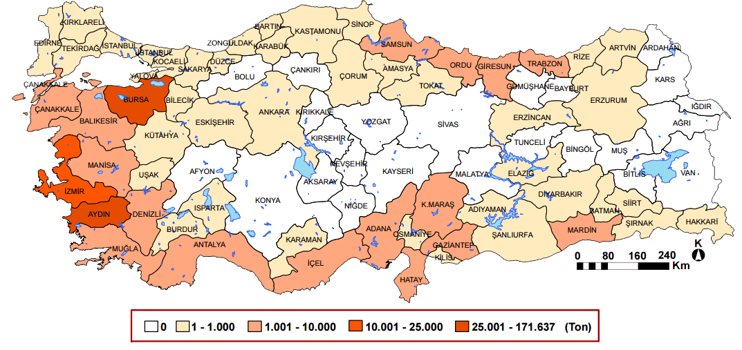 incir 2012 coğrafya hocam