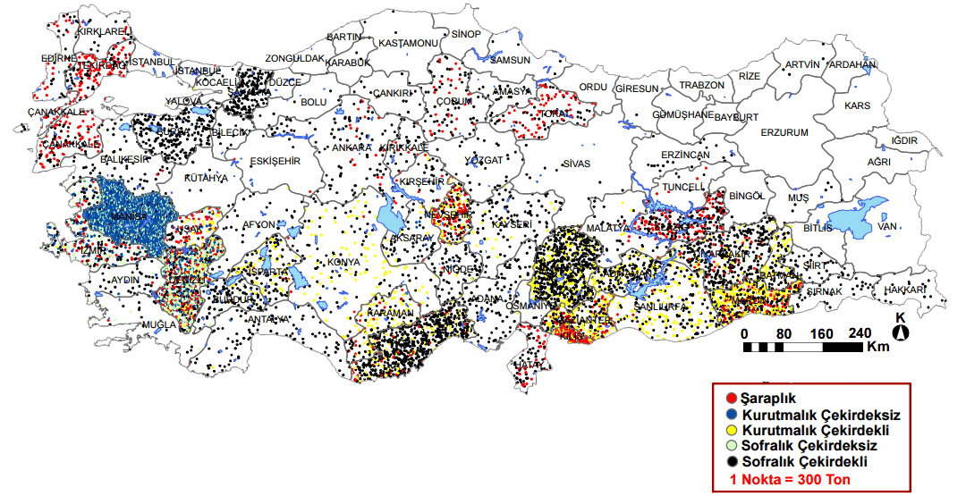 türkiye üzüm üretimi 2012 coğrafya hocam