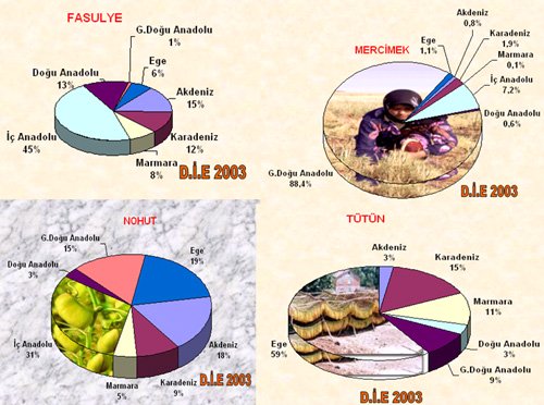 http://www.maxibayan.com/wp-content/uploads/2015/01/mercimek-nerede-yetisir.jpg