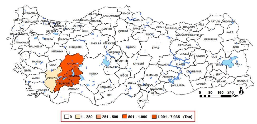 türkiye gül üretimi 2013 coğrafya hocam