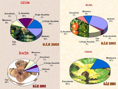 http://www.maxibayan.com/wp-content/uploads/2015/01/t%c3%bcrkiyede-b%c3%b6lgelere-g%c3%b6re-yeti%c5%9fen-tar%c4%b1m-%c3%bcr%c3%bcnleri.jpg