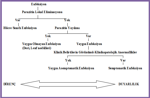 c:\users\acer\desktop\türkiye leishmani seroprevalans\adsız.png