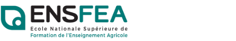 http://www.ensfea.fr/fr/wp-content/themes/enfa/img/logo_enfa.png