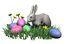 bunny_easter_eggs_md_wht