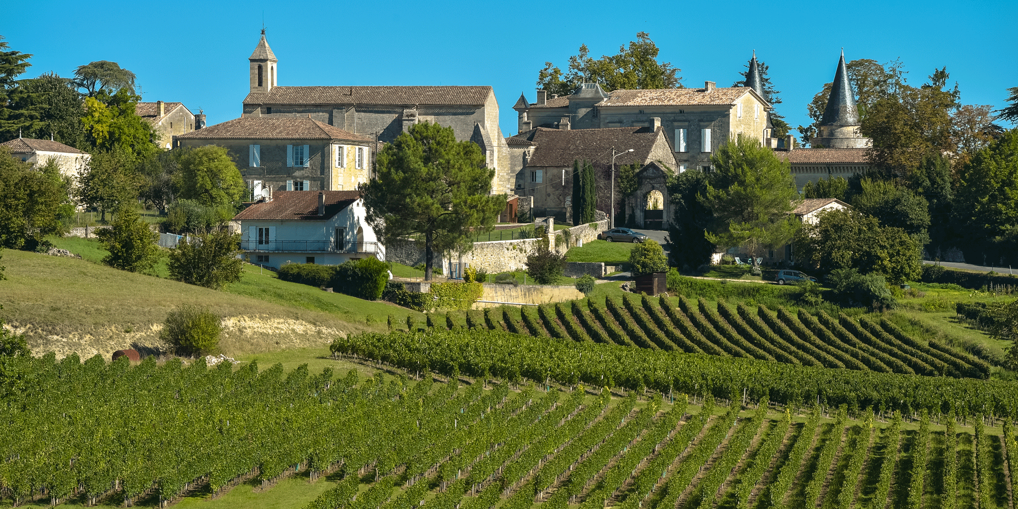 bordeaux wine region ile ilgili görsel sonucu