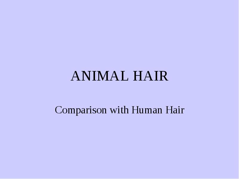 Animal hairs are classified into the following three basic types. Animal  hairs are classified into the following three basic types