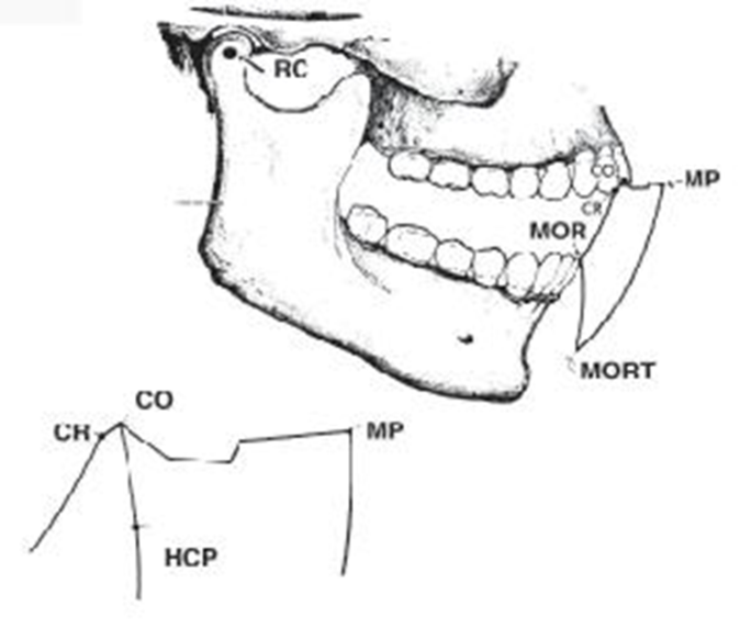 miscarile mandibulei listă de pregătire comună