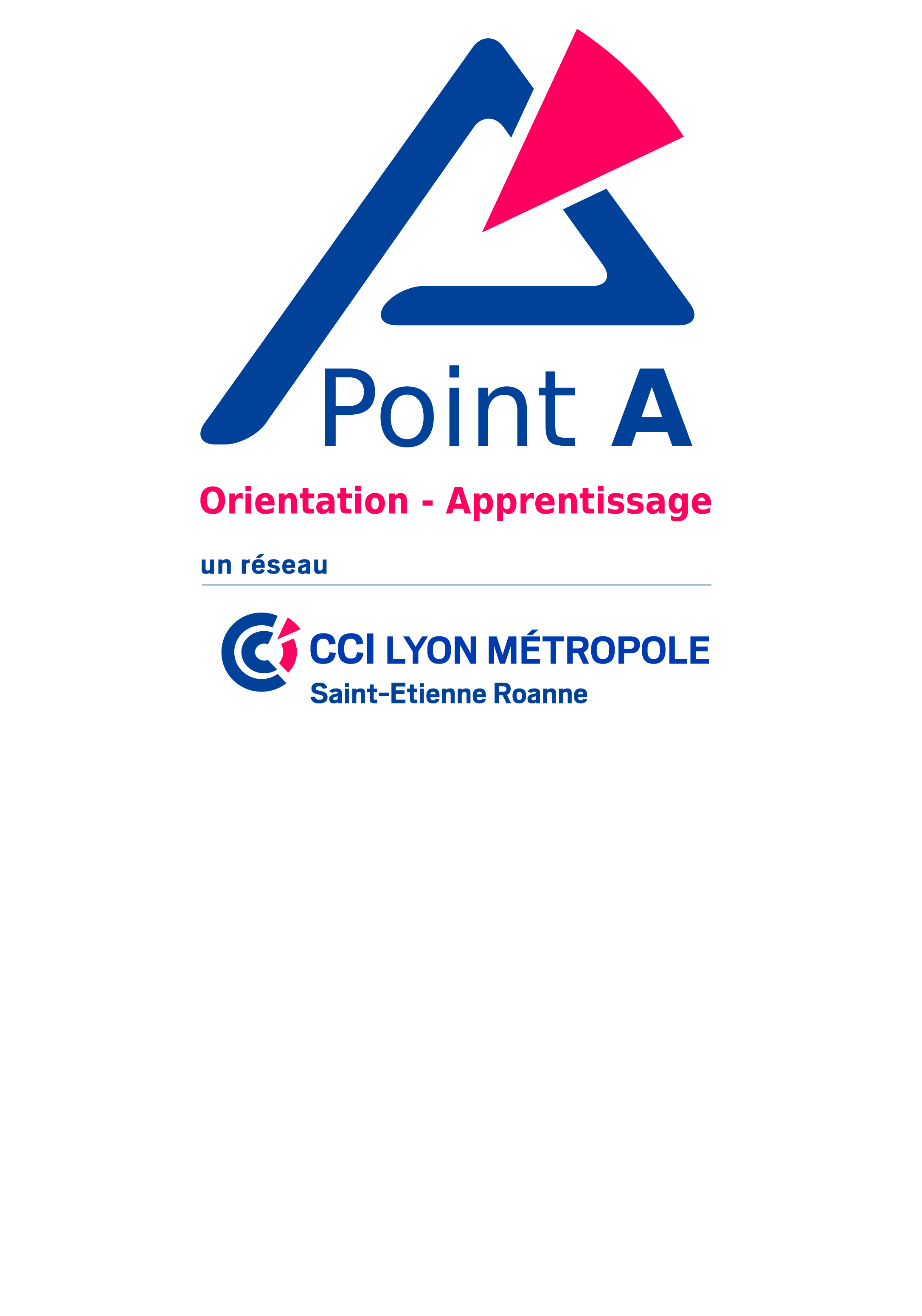 \\intranet.lyon.cci.fr\davwwwroot\espace-metiers\d1\p6\privatedocs\communication\logos\logo mini stage point a\point a.jpg