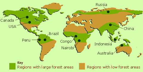 forests of the world for children