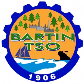 bartä±n tso logo ile ilgili gã¶rsel sonucu