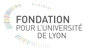 http://www.soyouth.fr/wp-content/uploads/2012/07/fondation-universite-de-lyon2.jpg