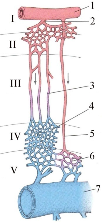 fig_3_21