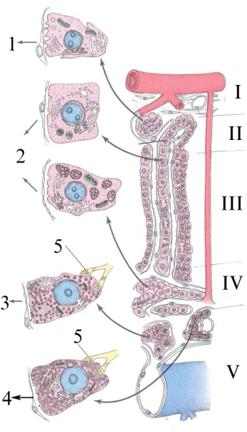 fig_3_22