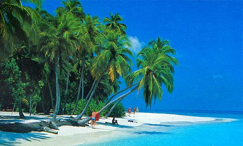http://discover-turism.ro/wp-content/uploads/2014/09/riviera-maya.jpg