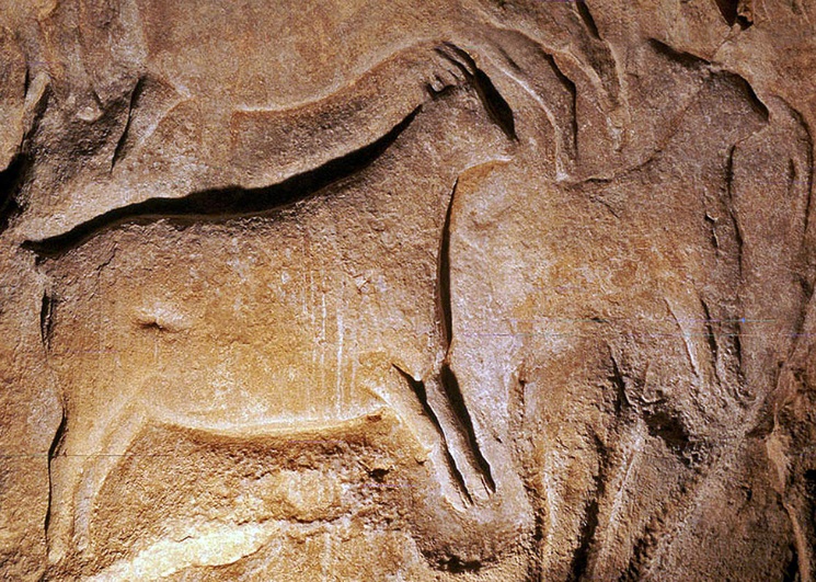 c:\users\erdal\downloads\11-female ibex and young ibex gravure- found cave of roc-aux-sorciers, france.jpg